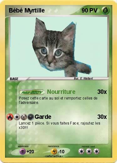 Pokemon Bébé Myrtille