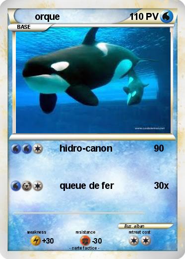 Pokemon orque