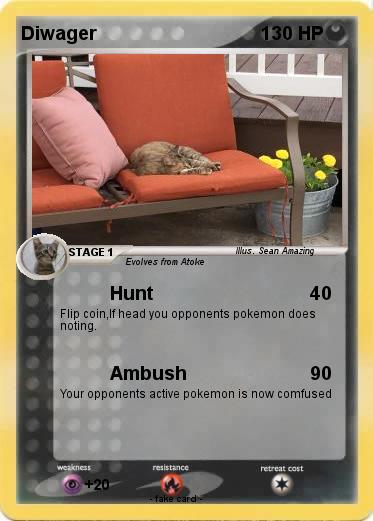 Pokemon Diwager