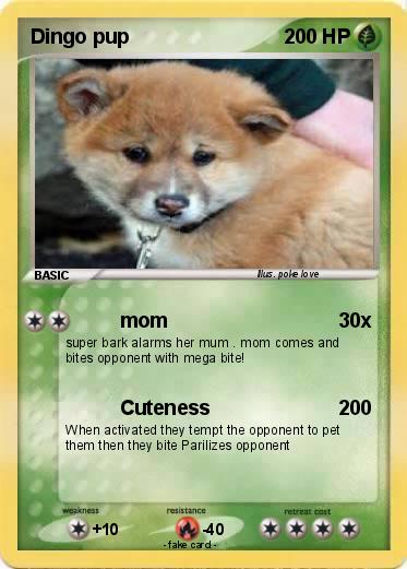 Pokemon Dingo pup