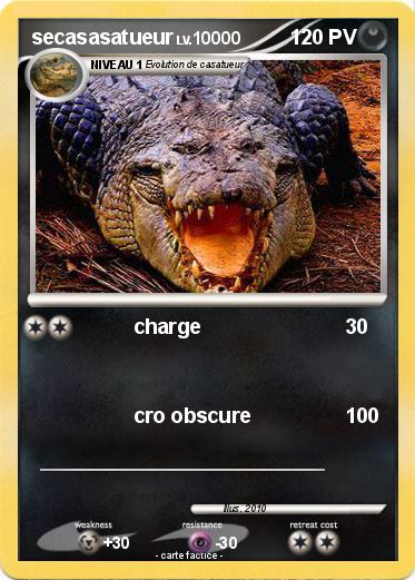 Pokemon secasasatueur