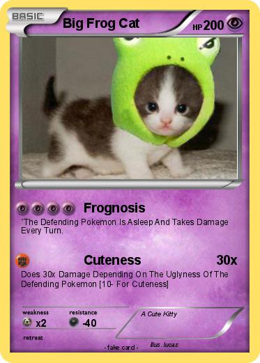Pokemon Big Frog Cat