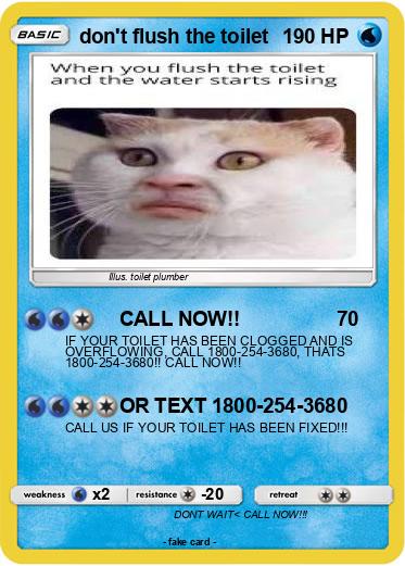Pokemon don't flush the toilet