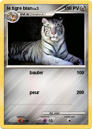 Pokemon le tigre blan