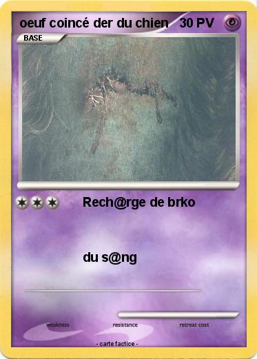 Pokemon oeuf coincé der du chien