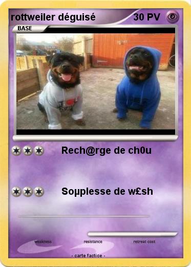 Pokemon rottweiler déguisé