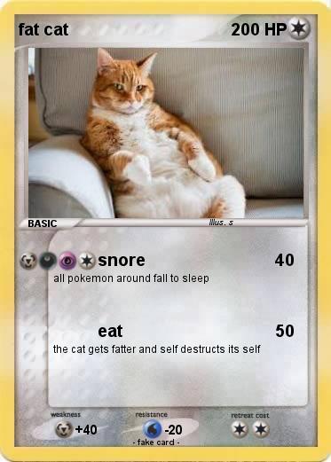 Pokemon fat cat