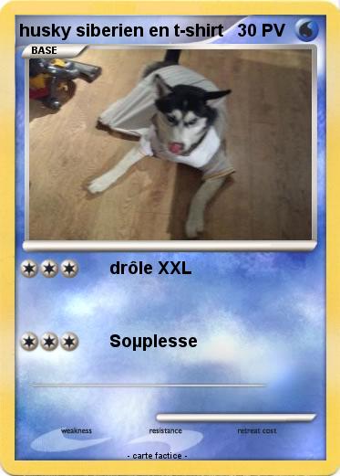 Pokemon husky siberien en t-shirt