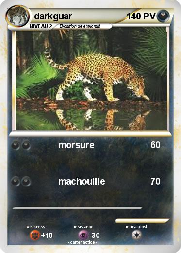 Pokemon darkguar