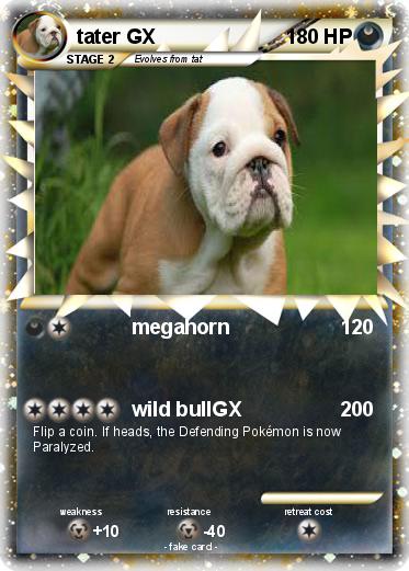 Pokemon tater GX