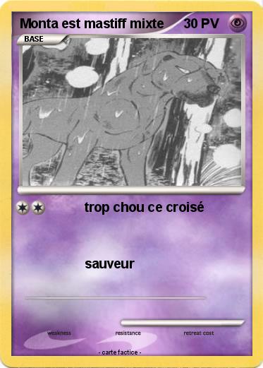 Pokemon Monta est mastiff mixte