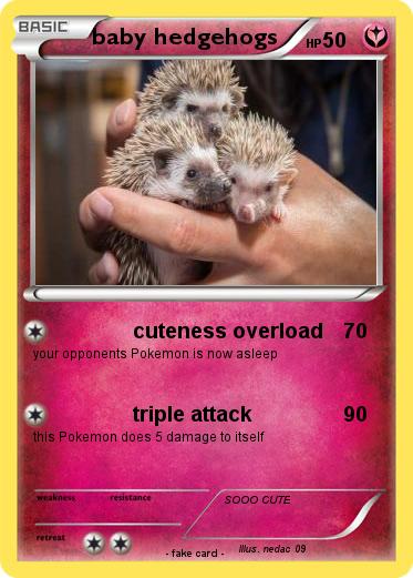 Pokemon baby hedgehogs