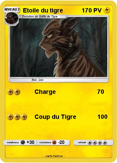 Pokemon Etoile du tigre
