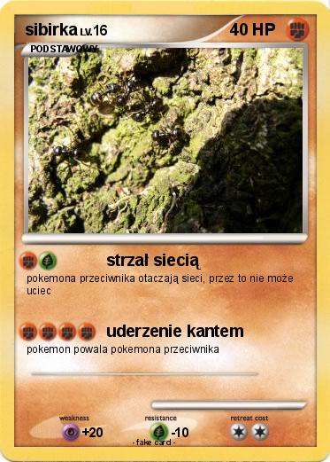 Pokemon sibirka