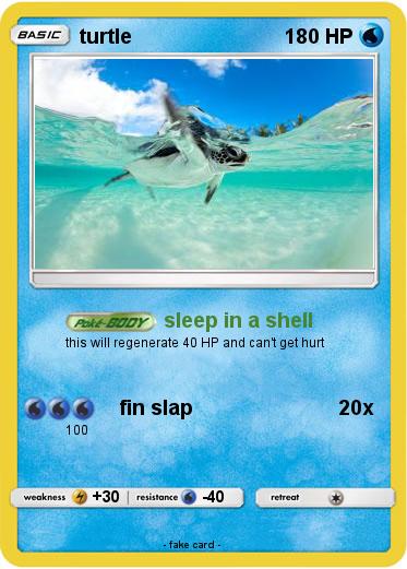 Pokemon turtle