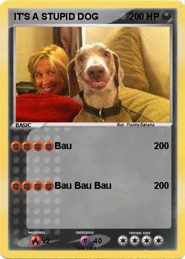 Pokemon IT'S A STUPID DOG