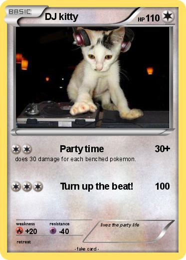 Pokemon DJ kitty