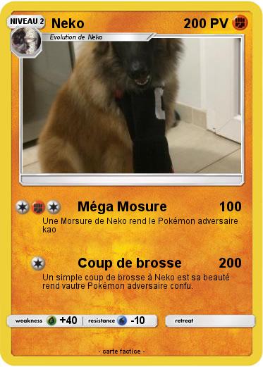 Pokemon Neko