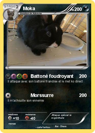 Pokemon Moka