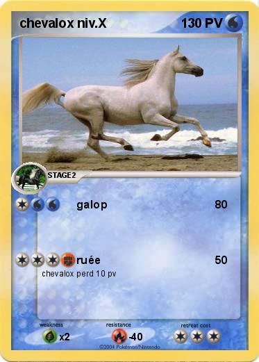 Pokemon chevalox niv.X