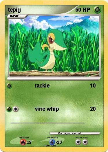 Pokemon tepig