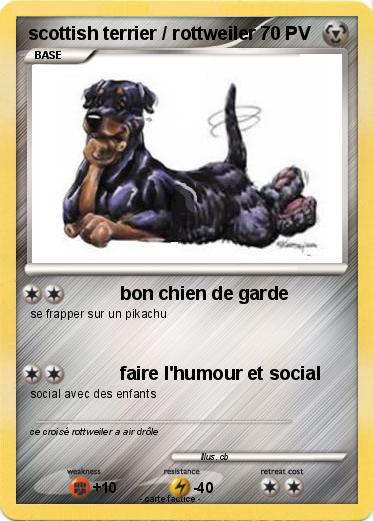 Pokemon scottish terrier / rottweiler