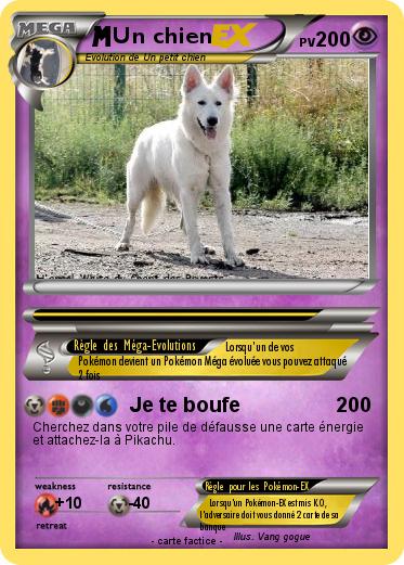 Pokemon Un chien