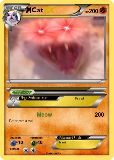 Pokemon Cat