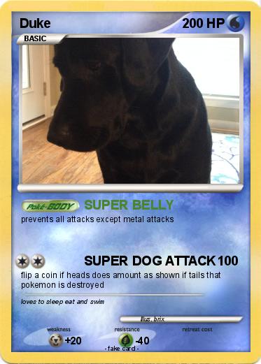Pokemon Duke