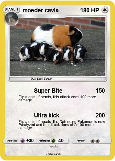 Pokemon moeder cavia