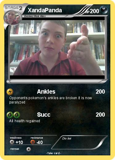 Pokemon XandaPanda