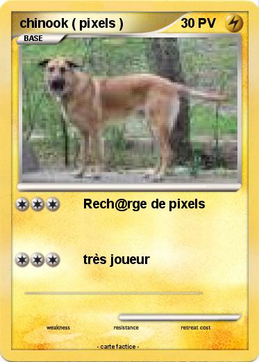 Pokemon chinook ( pixels )