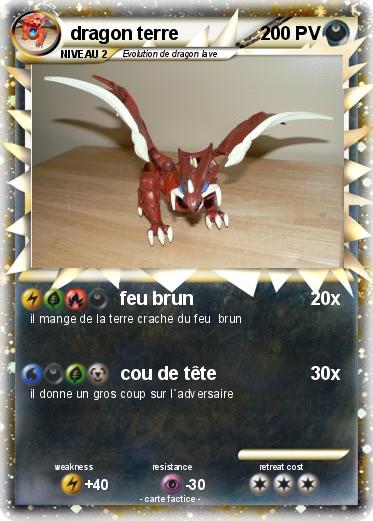 Pokemon dragon terre