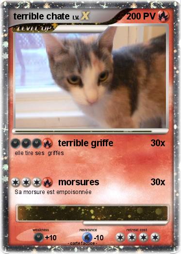 Pokemon terrible chate