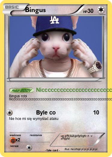 Pokemon Bingus