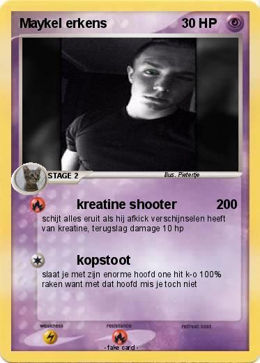 Pokemon Maykel erkens