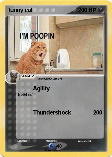 Pokemon funny cat
