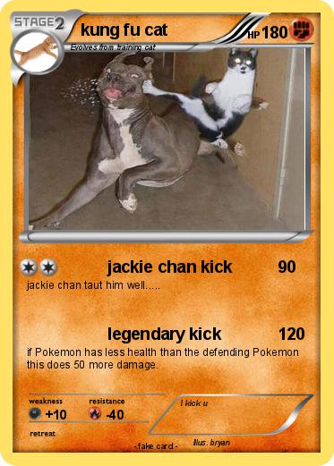 Pokemon kung fu cat