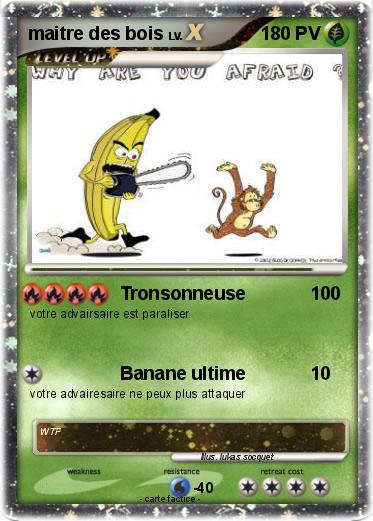 Pokemon maitre des bois