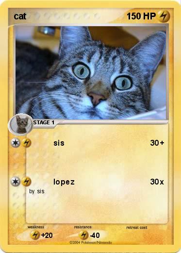 Pokemon cat