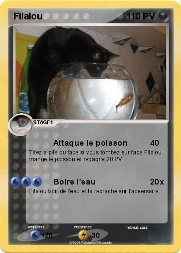 Pokemon Filalou