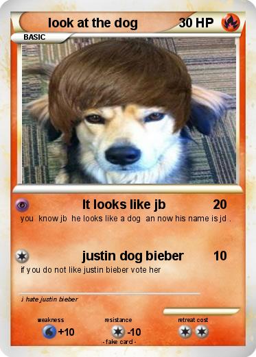Pokemon look at the dog