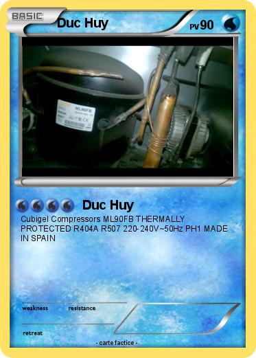 Pokemon Duc Huy