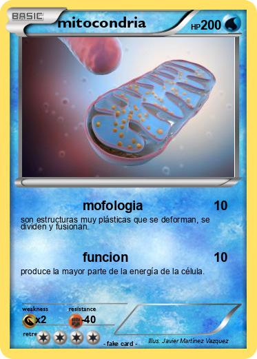 Pokemon mitocondria
