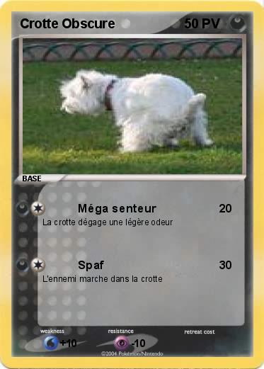 Pokemon Crotte Obscure