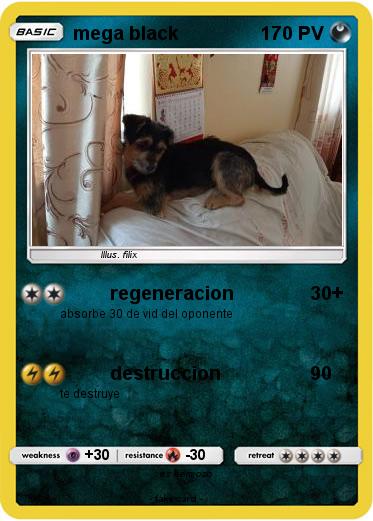 Pokemon mega black