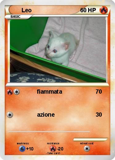 Pokemon Leo