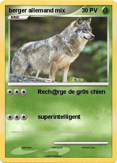 Pokemon berger allemand mix