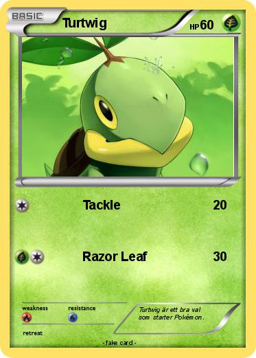 Pokemon Turtwig