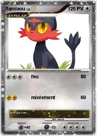 Pokemon flamiaou